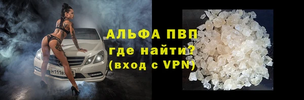 бошки Белокуриха